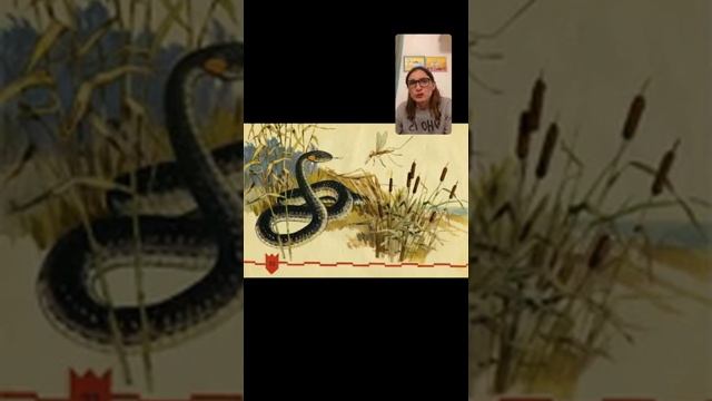 Калмыцкая сказка "Почему комар жалобно поет?"