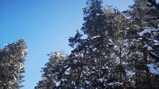 02 03 2022 Bansko snow sun and drone Зимняя сказка вернулась в Банско Music by Sergei Chekalin смотреть онлайн