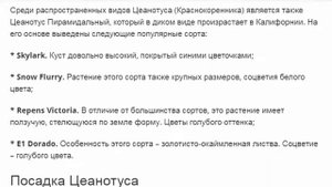 Цеанотус Краснокоренник посадка и уход