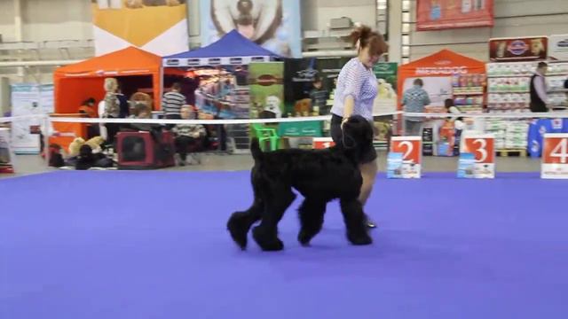 MVI 1314 смотреть онлайн