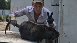 Подготовил суперклетку к зиме