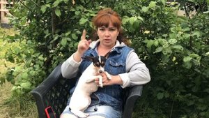 Наш новый питомец - американский той-фокстерьер / Сказочная собака!