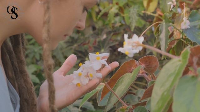 Зная это, ты можешь творить свою реальность смотреть онлайн