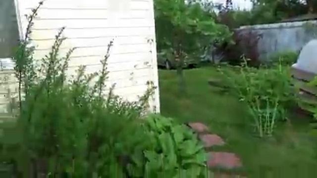 8 соток рая. Мой сад-огород в конце мая смотреть онлайн