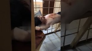 Допрос стрелка в гимназии 175. Казань.