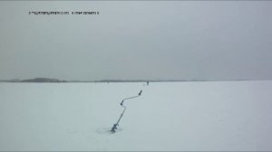 Ловля судака на мороженую тюльку или на живого живца? Что лучше?