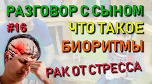 ✅ Разговор с сыном #16: Почему стресс вызывает рак. Что такое биоритмы