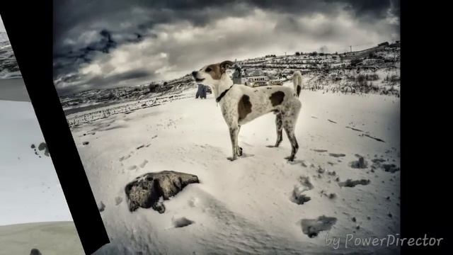 סוזוקי קלאב ישראל -2016 טיול שלג ציר 5 - Suzuki Club Israel смотреть онлайн
