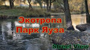 Экотропа в Парке Яуза. Природа, шум листвы и отпечатки зубов Бобра.