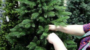 Как выбрать искусственную ёлку к новому году? РАССКАЖЕМ И ПОКАЖЕМ!