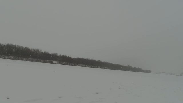 РЫБАЛКА НА ОКЕ 2019! РЫБАЛКА НА ЖЕРЛИЦЫ! смотреть онлайн