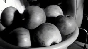 1974 год. Тюмень. Магазин "Тайга".