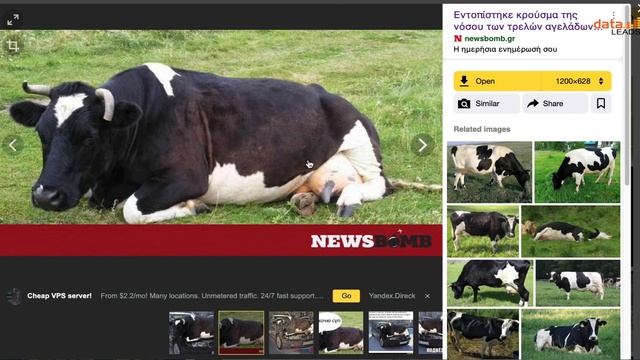 Tip Sheet: Yandex Reverse Image Search