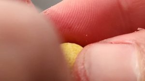 Hовый хитрый метод насаживания КУКУРУЗЫ или БОЙЛА !!