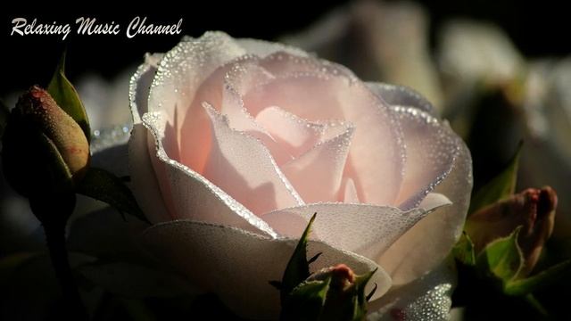 Хорошая Успокаивающая Музыка для Лечения Нервов: Музыка для Души, Релаксации Медитации и Сна смотреть онлайн