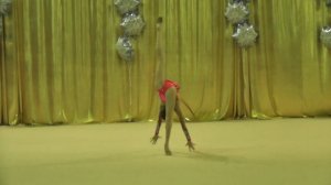 21.12.2013 Зариповские Стубайло Анжелика 2001 обруч