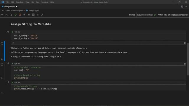 Python | Data Type | Strings Introduction; Variable Assignment; String Length; Concatenate; Unicode