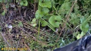 Рыбалка на реке Олым