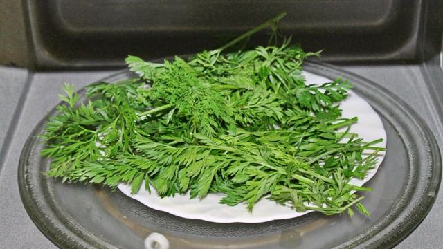 Морковная ботва на зиму
