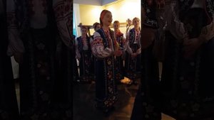 Українська народна пісня - " Ой чого калина віти похилила"