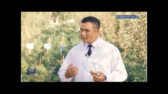 Собир Эгамбердиев - Аччиқ қалампир етиштириш смотреть онлайн