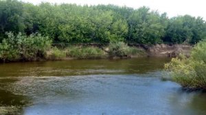 Красивая природа  Тогучинский район Новосибирская область. Река Иня.