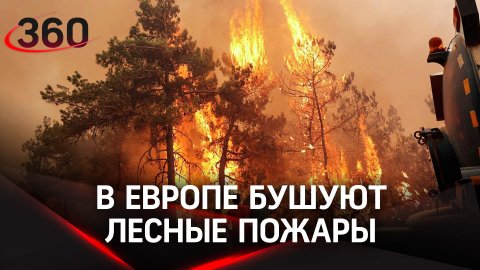 Почти 240 человек умерли в Испании из-за сильной жары за пять дней - бушуют лесные пожары