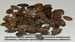 Можно ли есть арбуз с косточками: не вредно ли это, перевариваются ли арбузные косточки? Арбузные .