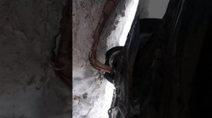 расположение стартера nissan avenir