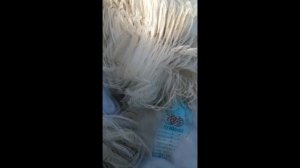 Поступили новые рыболовные сети, из Китая ФАБРИЧНЫЕ с нормальной лески с крупными размерам #Shorts