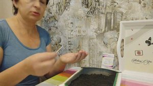 Сеем петунию/Посевной сезон открыт с почином! /НАТАЛИЯ БОС