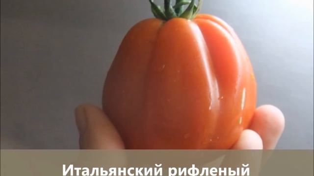 ЛУЧШЕЕ. НЕОБЫЧНОЕ. ЭКСКЛЮЗИВНОЕ. Коллекционные томаты (Часть 1)