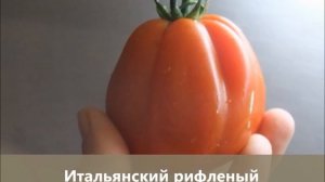 ЛУЧШЕЕ. НЕОБЫЧНОЕ. ЭКСКЛЮЗИВНОЕ. Коллекционные томаты (Часть 1)