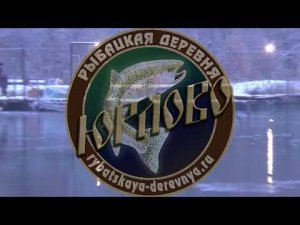 Поимки на ВИП. Р.Д. Юрлово.  28.10.2023