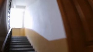 Реализуем коров на бойню. Оформляю документы.