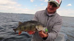 КАК ЛОВЯТ ЧЕМПИОНЫ?! ОКУНИ ПОД КИЛО и ТРОФЕЙНЫЕ ЩУКИ!!! Экипаж Питерцов-Елисеев на 1 этапе PAL 2019