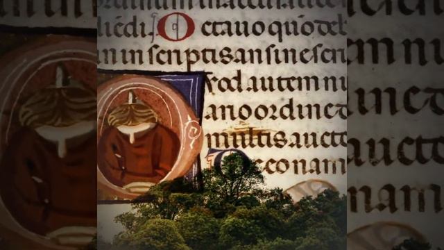 Свод канонического права за 1 минуту смотреть онлайн