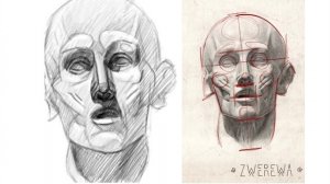 Основные этапы рисования. Экорше