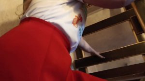 домик 2х местный - эконом