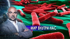 Мир внутри нас. «Как устроен мир»  с Тимофеем Баженовым (13.01.2022).