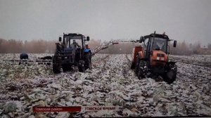 Капустоуборочный транспортер НОУТ-6 в Томской области (ТВ Томское время октябрь 2016)