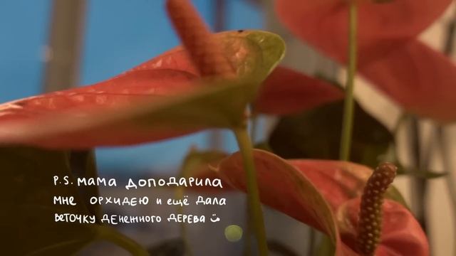 преображение комнаты: бюджетные покупки из ikea и aliexpress