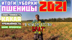 Итоги уборки озимой пшеницы 2021. Какой урожай, сколько вложил, что получил. Бактерии работают