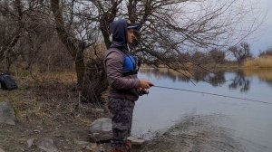 Ловля окуня перед нерестом. Микроджиг, джиг-риг и рачок.