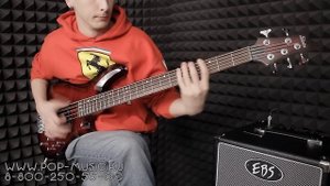 Бас-гитара SCHECTER C-5 DELUXE