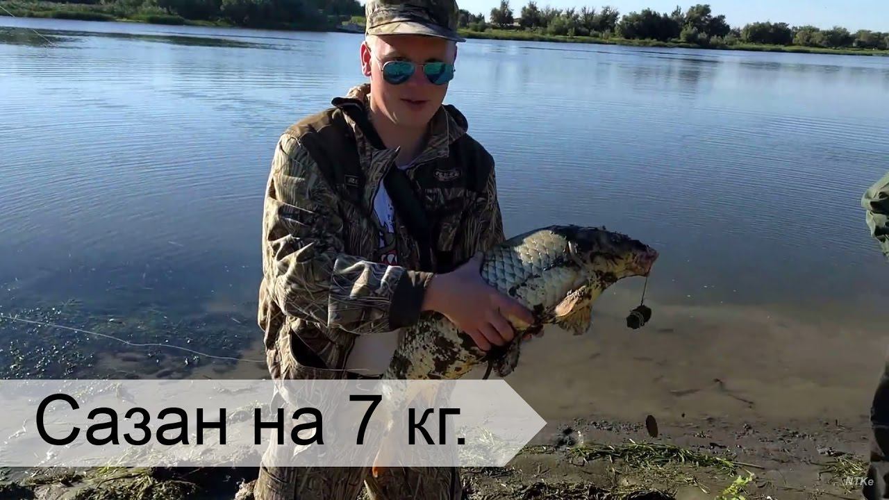 Рыбалка в Астрахани. Сазан на реке Болда.