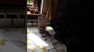 не зажигается не запускается газовый котел