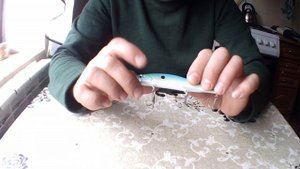 Обзор посылки Копия воблера Дуо Реалис Джеркбейт 110 сп один из самых лучших  с Алиэкспресс