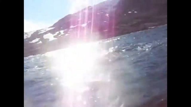 CompAs 420 смотреть онлайн