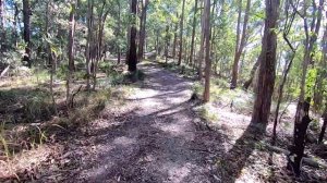 Что Австралиец думает о России